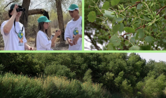 В Амударьинском заповеднике прошёл экотур с участием молодых волонтёров