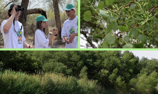 na-torgah-gtsbt-obshaya-summa-sdelok-sostavila-svyshe-7-millionov-763-tysyac-dollarov-ssha