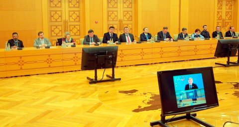 Туркменистан и ФАО расширяют стратегическое партнёрство  