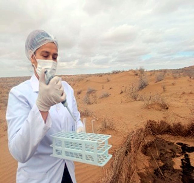 na-torgah-gtsbt-obshaya-summa-sdelok-sostavila-svyshe-7-millionov-763-tysyac-dollarov-ssha