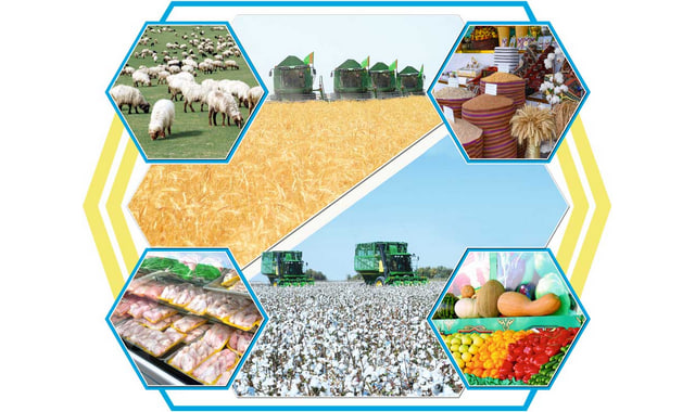 na-torgah-gtsbt-obshaya-summa-sdelok-sostavila-svyshe-7-millionov-763-tysyac-dollarov-ssha