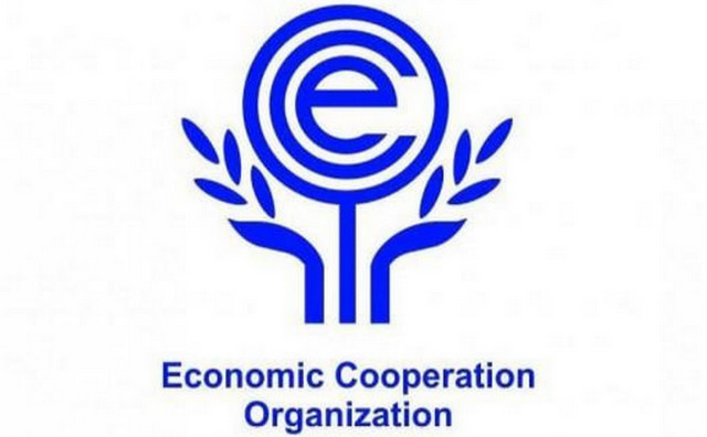 na-torgah-gtsbt-obshaya-summa-sdelok-sostavila-svyshe-7-millionov-763-tysyac-dollarov-ssha