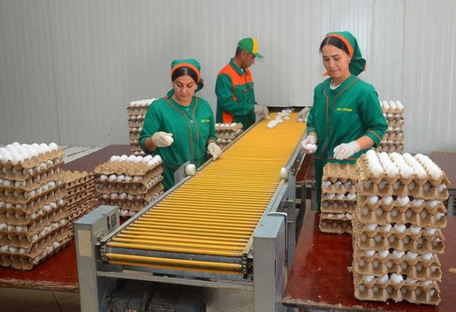 na-torgah-gtsbt-obshaya-summa-sdelok-sostavila-svyshe-7-millionov-763-tysyac-dollarov-ssha