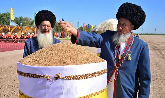 na-torgah-gtsbt-obshaya-summa-sdelok-sostavila-svyshe-7-millionov-763-tysyac-dollarov-ssha