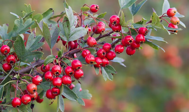 na-torgah-gtsbt-obshaya-summa-sdelok-sostavila-svyshe-7-millionov-763-tysyac-dollarov-ssha