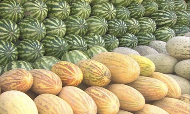 na-torgah-gtsbt-obshaya-summa-sdelok-sostavila-svyshe-7-millionov-763-tysyac-dollarov-ssha