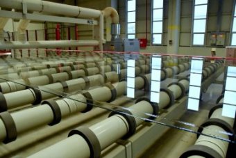 В Туркменистане введен в эксплуатацию новый цех стекольного завода