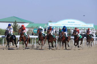 В Балканском велаяте прошли скачки ахалтекинских скакунов