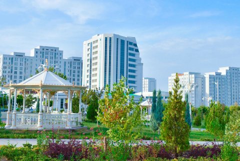 Туркменистан завершает важный этап экологических и лесовосстановительных программ