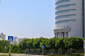 Экспортные сделки на торгах биржи Туркменистана превысили 4 миллиона долларов США