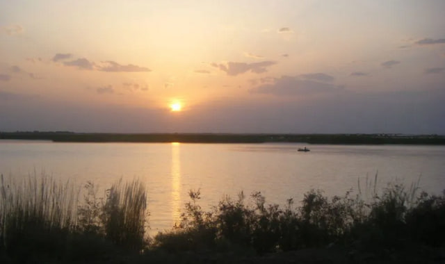 na-torgah-gtsbt-obshaya-summa-sdelok-sostavila-svyshe-7-millionov-763-tysyac-dollarov-ssha