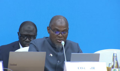 Круглый стол РНСВМ: Вице-президент Гамбии выступил за ликвидацию торговых препятствий