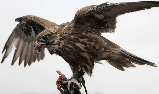 na-torgah-gtsbt-obshaya-summa-sdelok-sostavila-svyshe-7-millionov-763-tysyac-dollarov-ssha