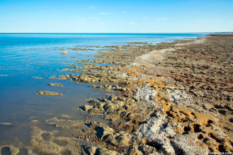 Ашхабад предложил обновить формат сотрудничества с МФСА
