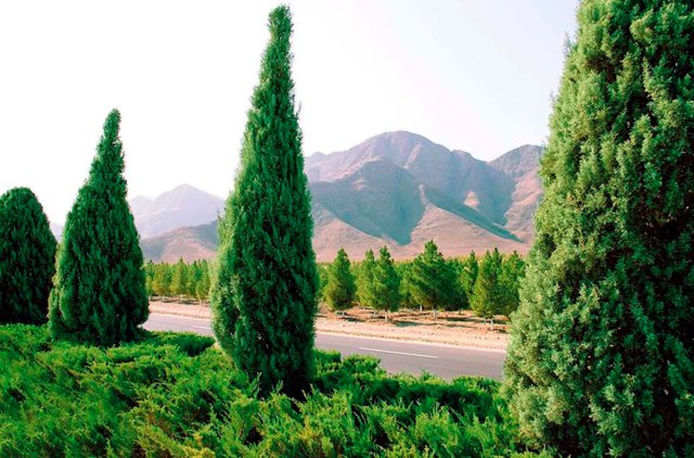 na-torgah-gtsbt-obshaya-summa-sdelok-sostavila-svyshe-7-millionov-763-tysyac-dollarov-ssha