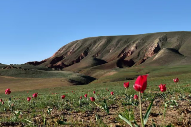 na-torgah-gtsbt-obshaya-summa-sdelok-sostavila-svyshe-7-millionov-763-tysyac-dollarov-ssha