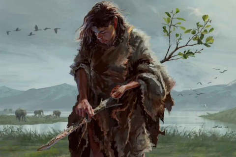 В Греции нашли самые древние деревянные орудия труда