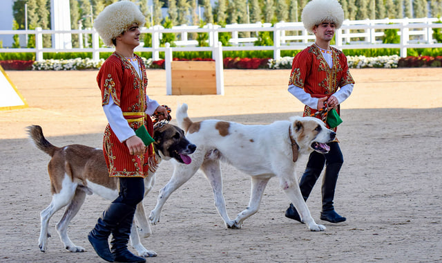 na-torgah-gtsbt-obshaya-summa-sdelok-sostavila-svyshe-7-millionov-763-tysyac-dollarov-ssha