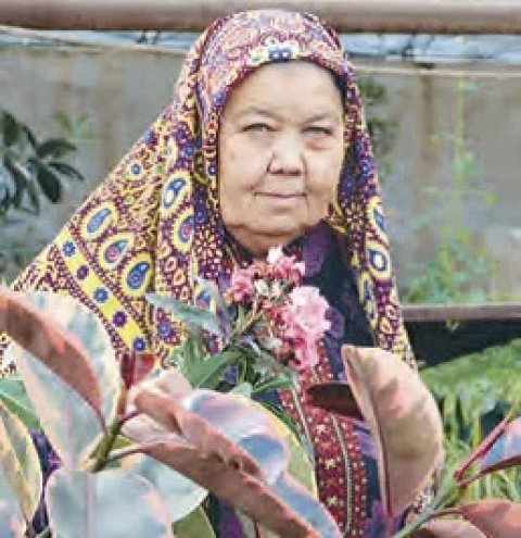 Магия комнатных растений Рухсары Бяшимовой  
