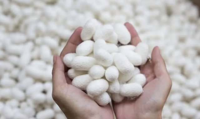 na-torgah-gtsbt-obshaya-summa-sdelok-sostavila-svyshe-7-millionov-763-tysyac-dollarov-ssha