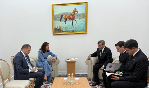 Состоялась встреча глав внешнеполитических ведомств Туркменистана и Грузии