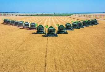 В Байрамалийском этрапе расширяется производство сельхозпродукции