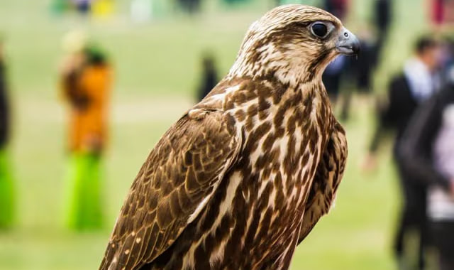 na-torgah-gtsbt-obshaya-summa-sdelok-sostavila-svyshe-7-millionov-763-tysyac-dollarov-ssha