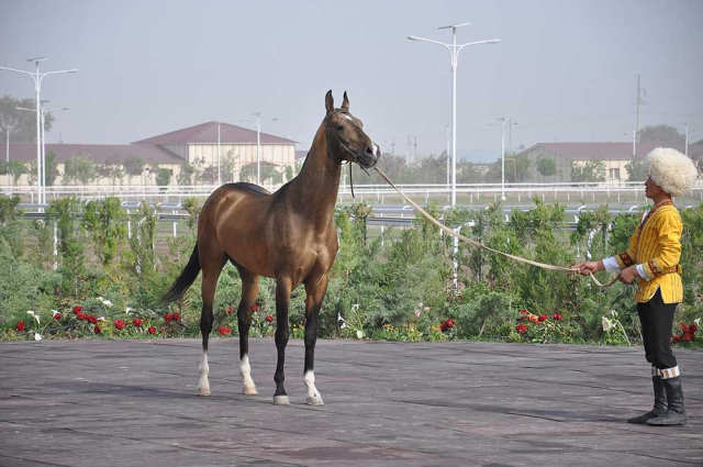 na-torgah-gtsbt-obshaya-summa-sdelok-sostavila-svyshe-7-millionov-763-tysyac-dollarov-ssha