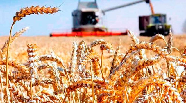 na-torgah-gtsbt-obshaya-summa-sdelok-sostavila-svyshe-7-millionov-763-tysyac-dollarov-ssha