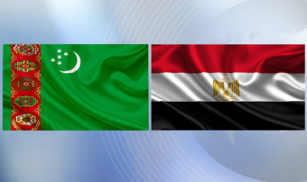 Главы МИД Туркменистана и Египта провели телефонные переговоры