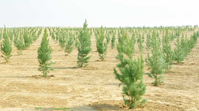 na-torgah-gtsbt-obshaya-summa-sdelok-sostavila-svyshe-7-millionov-763-tysyac-dollarov-ssha