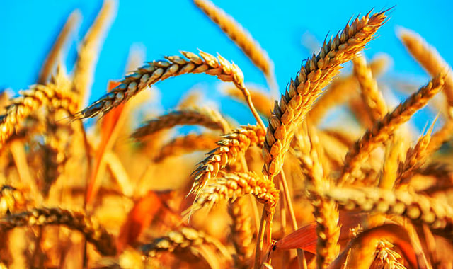 na-torgah-gtsbt-obshaya-summa-sdelok-sostavila-svyshe-7-millionov-763-tysyac-dollarov-ssha