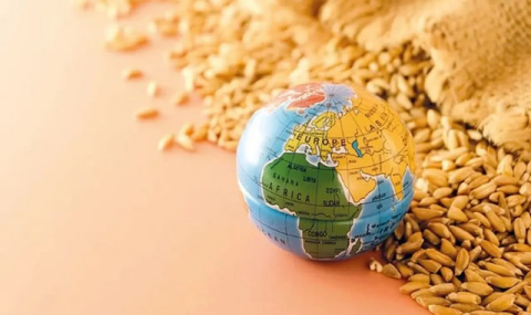 Пшеница и рожь обеспечат России высокие позиции в мировом экспорте