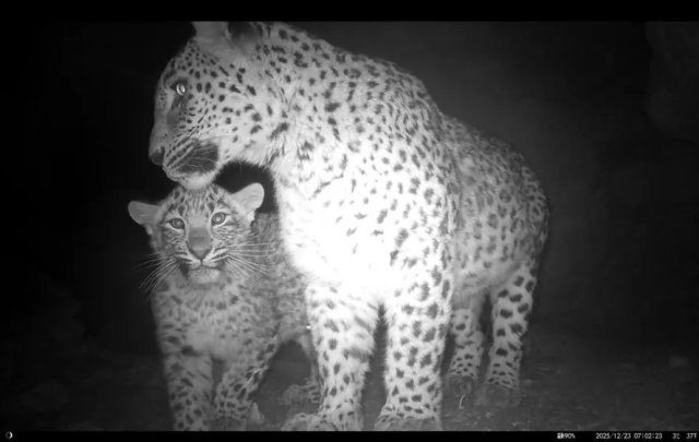 na-torgah-gtsbt-obshaya-summa-sdelok-sostavila-svyshe-7-millionov-763-tysyac-dollarov-ssha