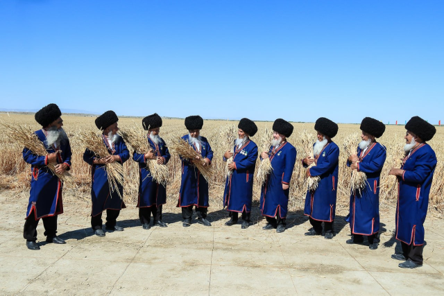 na-torgah-gtsbt-obshaya-summa-sdelok-sostavila-svyshe-7-millionov-763-tysyac-dollarov-ssha