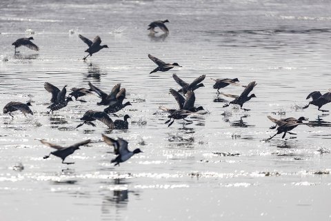 В Туркменистане укрепляют социальную защиту госинспекторов по охране природы  