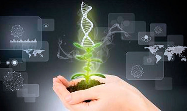 na-torgah-gtsbt-obshaya-summa-sdelok-sostavila-svyshe-7-millionov-763-tysyac-dollarov-ssha