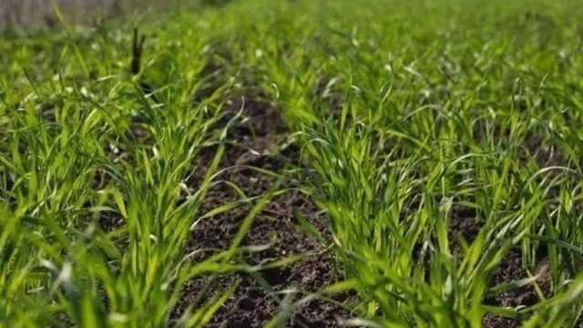 na-torgah-gtsbt-obshaya-summa-sdelok-sostavila-svyshe-7-millionov-763-tysyac-dollarov-ssha