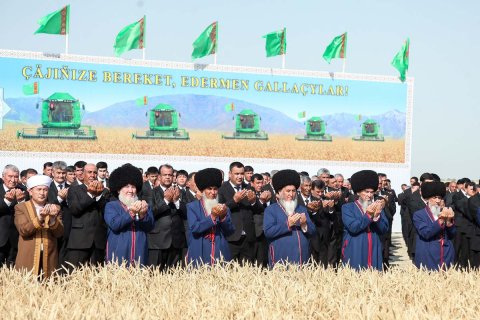 В Дашогузском и Балканском велаятах Туркменистана началась уборка пшеницы