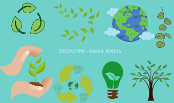 COP-30 в Бразилии: Туркменистан представил направления климатической политики