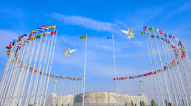 na-torgah-gtsbt-obshaya-summa-sdelok-sostavila-svyshe-7-millionov-763-tysyac-dollarov-ssha