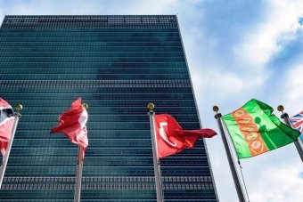 Инициативы Туркменистана получили единогласную поддержку Генассамблеи ООН
