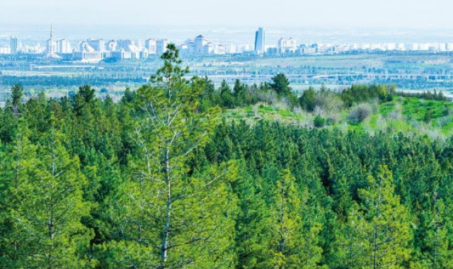 na-torgah-gtsbt-obshaya-summa-sdelok-sostavila-svyshe-7-millionov-763-tysyac-dollarov-ssha