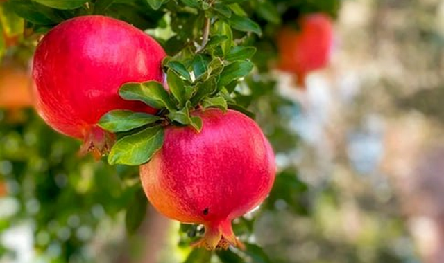 na-torgah-gtsbt-obshaya-summa-sdelok-sostavila-svyshe-7-millionov-763-tysyac-dollarov-ssha