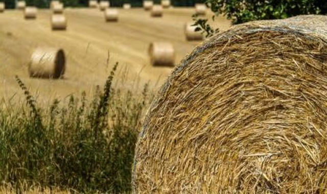 na-torgah-gtsbt-obshaya-summa-sdelok-sostavila-svyshe-7-millionov-763-tysyac-dollarov-ssha