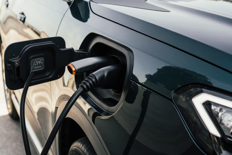 Электромобили обеспечили свыше 70% автомобильного имппорта в Узбекистане