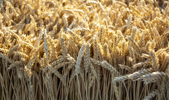 na-torgah-gtsbt-obshaya-summa-sdelok-sostavila-svyshe-7-millionov-763-tysyac-dollarov-ssha