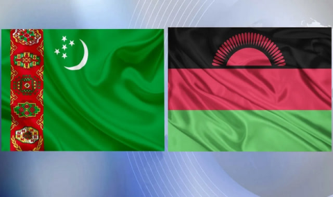 «Аваза» принимает вице-президента Малави