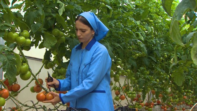 na-torgah-gtsbt-obshaya-summa-sdelok-sostavila-svyshe-7-millionov-763-tysyac-dollarov-ssha