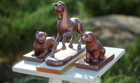 Праздник туркменского алабая прошёл в Балканском велаяте